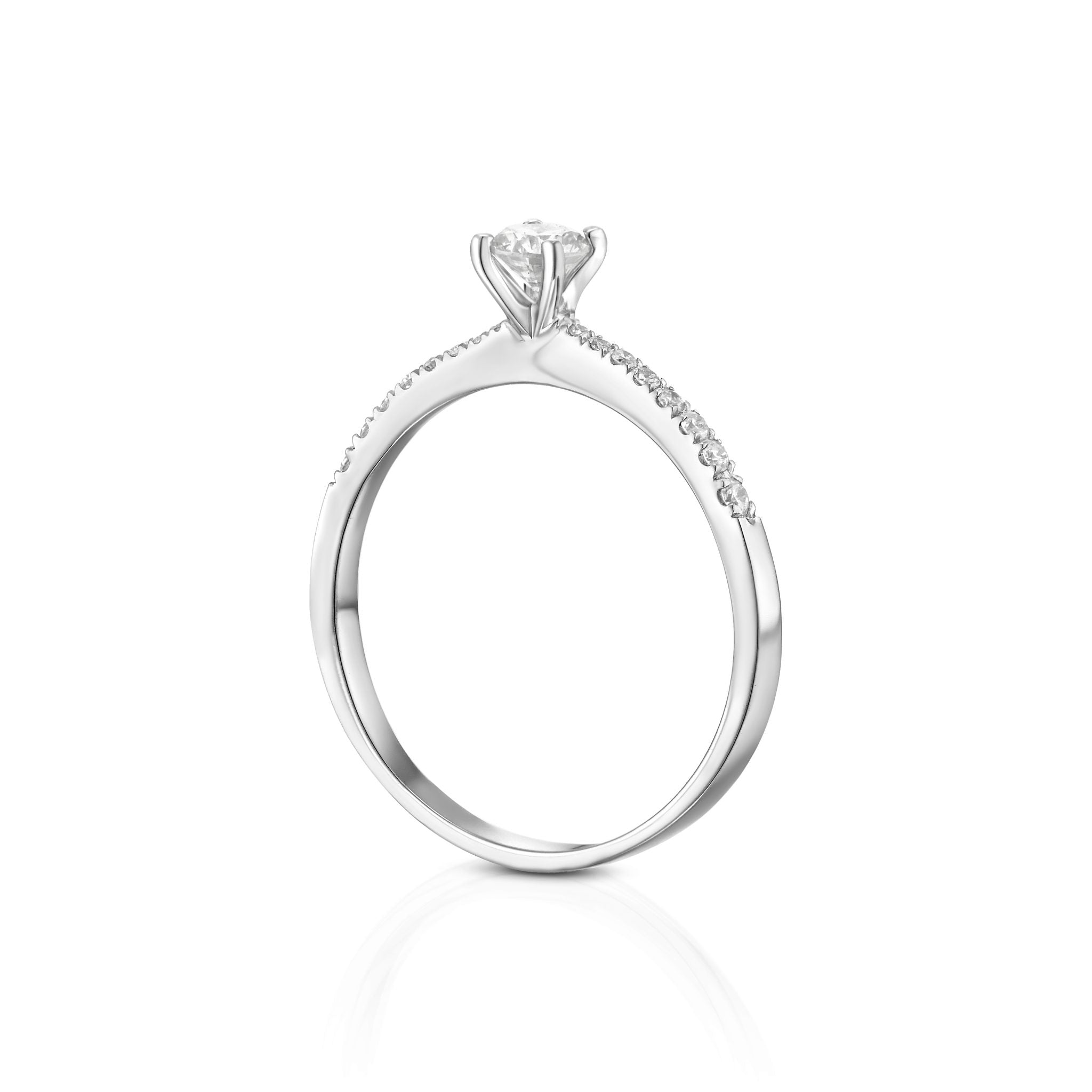 Ring 08
